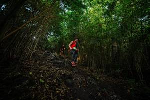 BIB: 
                            <button type="button" onclick="openModal(25101287)" class="btn btn-primary btn-sm float-right btn-popup" data-toggle="modal" data-target=".modal-high-quality">
                        <i class="fas fa-shopping-cart"></i> Add to Cart
                    </button>
                                            <button type="button" onclick="isThisMe(25101287, true)" class="btn btn-success btn-sm float-right btn-popup btn-isme hidden" data-toggle="tooltip" data-placement="bottom" title="นี่คือรูปของคุณใช่ไหม คลิกที่นี่เพื่อเอาเข้าอัลบั้ม">
                        <i class="fas fa-plus"></i> Add to album
                    </button>
                    <button type="button" onclick="isThisMe(25101287, false)" class="btn btn-warning btn-sm float-right btn-popup btn-isnotme hidden">
                        <i class="fas fa-ban"></i> Remove from album
                    </button>